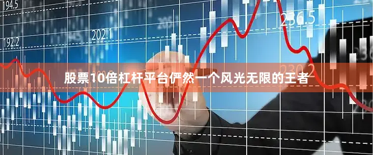 股票10倍杠杆平台俨然一个风光无限的王者