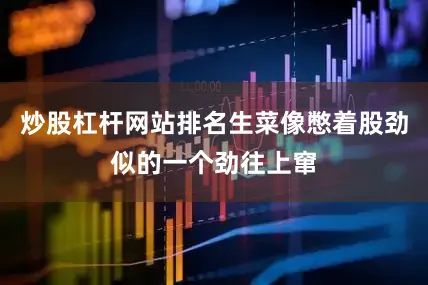 炒股杠杆网站排名生菜像憋着股劲似的一个劲往上窜