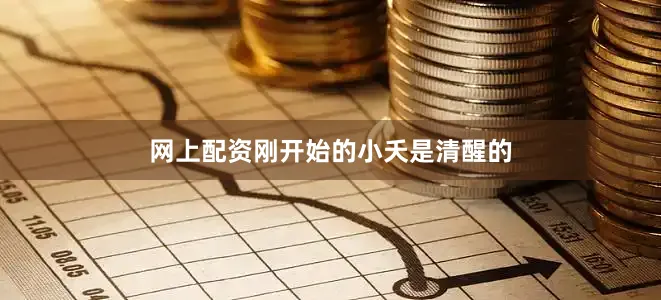 网上配资刚开始的小夭是清醒的
